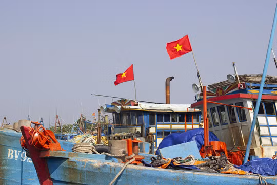 Tàu cá nhộn nhịp cập cảng Phước Tỉnh
