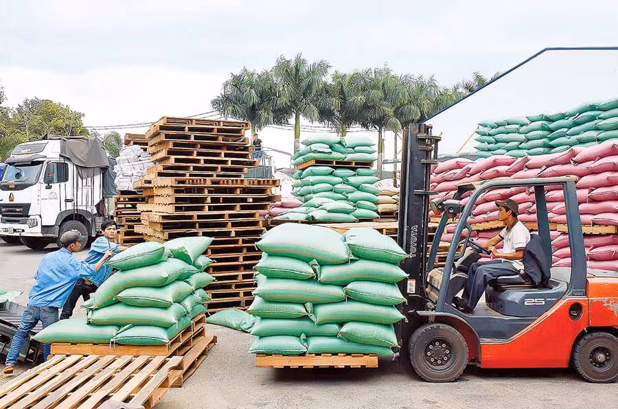  Xuất khẩu cà phê ở Công ty TNHH Vĩnh Hiệp (TP. Pleiku). Ảnh: Đ.T