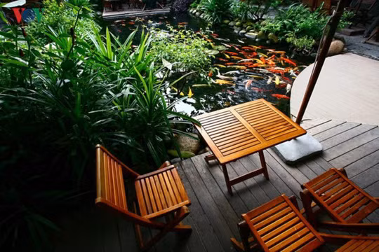 Ngồi nơi nào cũng có thể ngắm cá. Vật liệu chủ đạo của quán là đá, là nước, và gỗ. Ngồi nơi nào cũng có thể ngắm cá. Vật liệu chủ đạo của quán là đá, là nước, và gỗ.