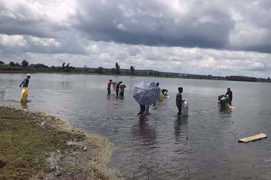 Ảnh: Nguyễn Diệp
