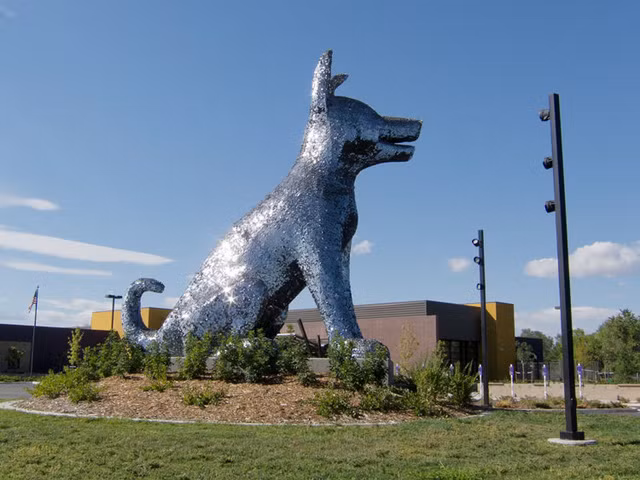 Bức tượng chú chó đang ngồi ở Denver, Mỹ. Ảnh: Badbearmedia