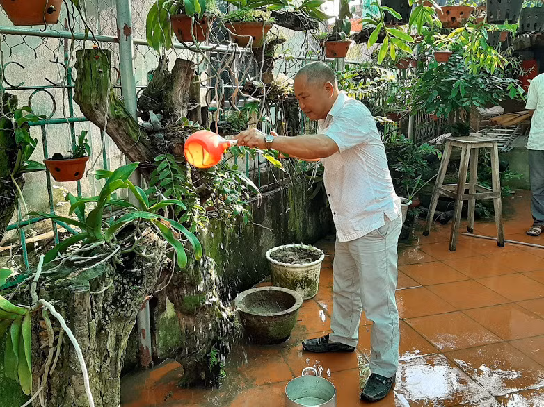  Không chỉ trồng lan rừng và bán lan rừng theo cách truyền thống, bác Sâm còn đăng bán, trao đổi, giao lưu kinh nghiệm trồng lan trên mạng internet; mạng xã hội như Facebook, Zalo.