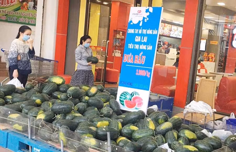 Siêu thị Co.opMart Pleiku chung tay hỗ trợ nông dân tiêu thụ nông sản. Ảnh: Vũ Thảo