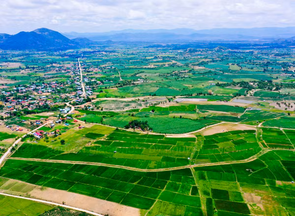 Hơn 2.663 ha cây trồng các loại trên địa bàn huyện Krông Pa đang được hưởng nguồn nước dồi dào do thủy lợi Ia Mlah cung cấp. Ảnh: N.T