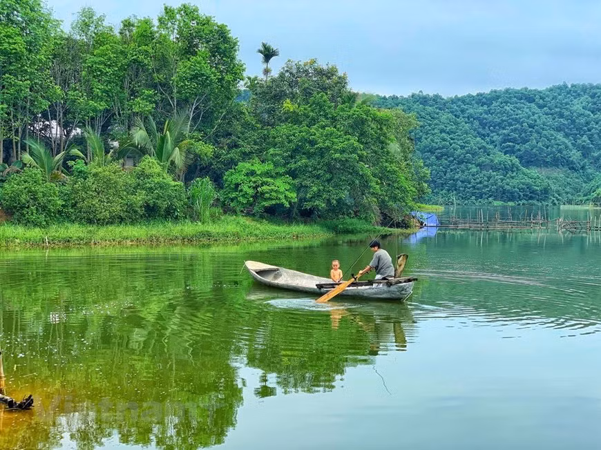 Dân du lịch 'kiểu lọ mọ' thường gọi nơi đây là đảo trà, bởi trên đảo có rất nhiều gốc trà lâu năm giá trị cao. (Ảnh: Xuân Mai/Vietnam+) Dân du lịch 'kiểu lọ mọ' thường gọi nơi đây là đảo trà, bởi trên đảo có rất nhiều gốc trà lâu năm giá trị cao. (Ảnh: Xuân Mai/Vietnam+)