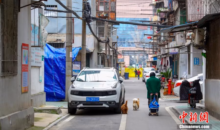 Bên trong khu thôn mới Trường Hàng của Vũ Hán, một người già đang kéo một chiếc xe nhỏ. Những chú chó đang tung tăng trên đường - Ảnh: Chinanews