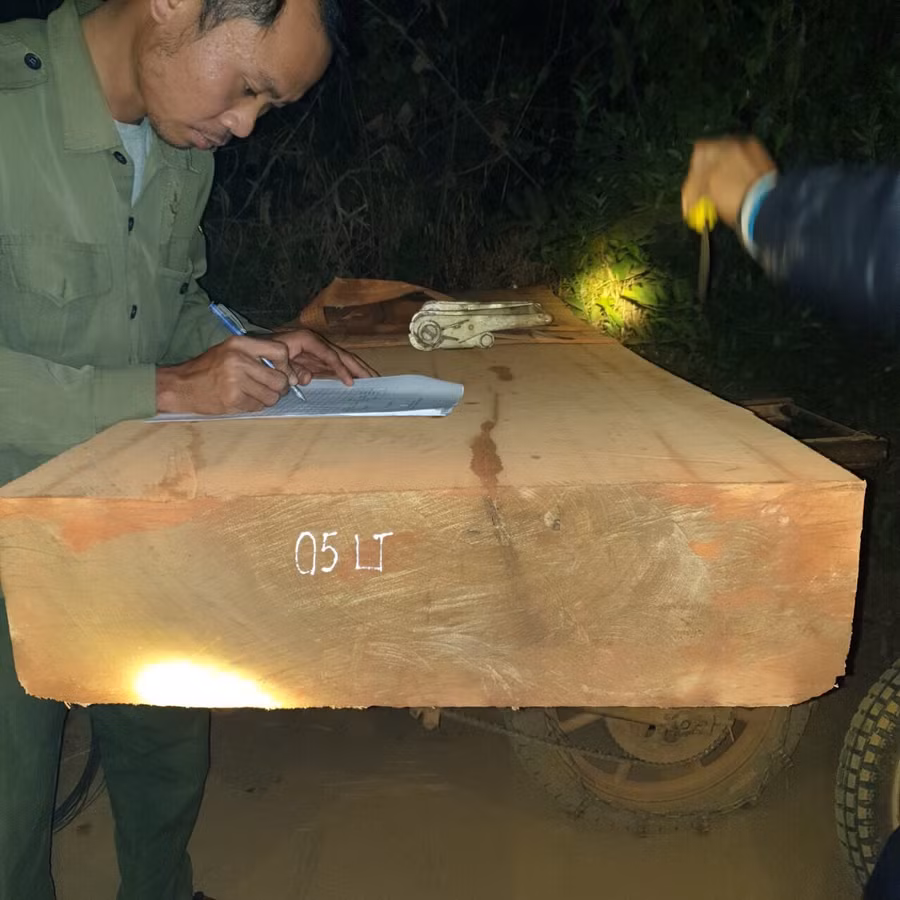 Lực lượng bảo vệ rừng lập biên bản, thu giữ tang vật và phương tiện vi phạm của lâm tặc.