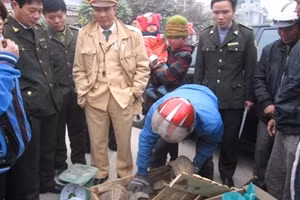 Cơ quan chức năng kiểm tra lô hàng động vật hoang dã bị phát hiện.