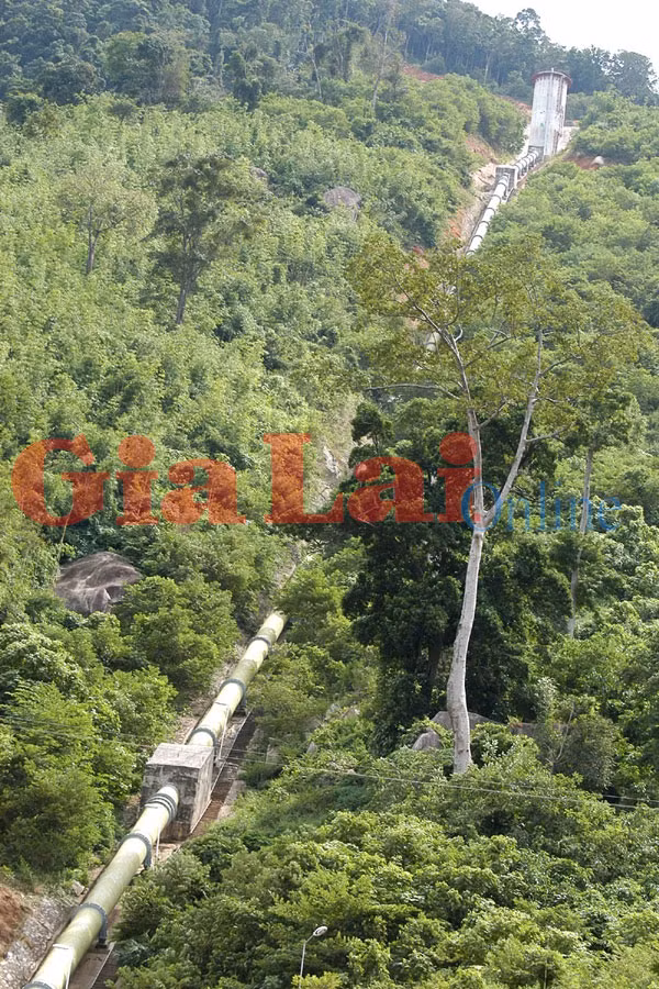 Đường ống dẫn nước thủy điện Krông Kma đã lấy đi hơn 100 ha rừng nguyên sinh của Vườn quốc gia Chư Yang Sin-Đak Lak. Ảnh: Đình Đối Đường ống dẫn nước thủy điện Krông Kma đã lấy đi hơn 100 ha rừng nguyên sinh của Vườn quốc gia Chư Yang Sin-Đak Lak. Ảnh: Đình Đối
