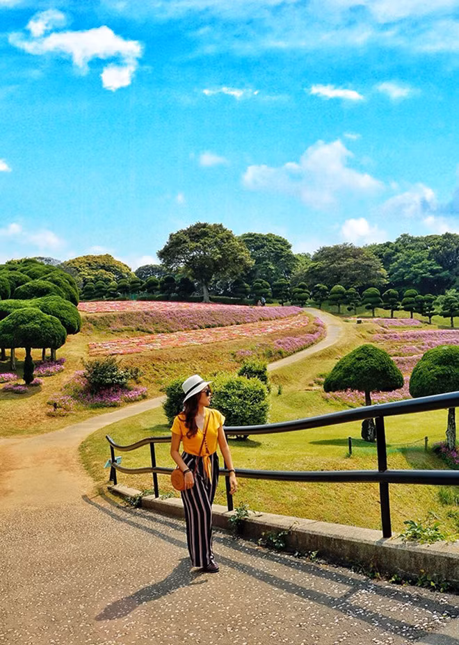  Vườn hoa ở công viên Nokonoshima Island