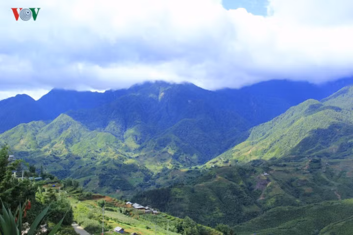 Sapa, Lào Cai: Sapa những ngày hè không nắng gay gắt như nơi phố thị mà dịu mát như bức tranh tuyệt đẹp làm lưu luyến lòng người bởi những nét vẽ nên thơ của một sớm mờ sương hay một chiều nắng nhẹ.