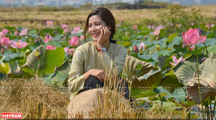  Thiếu nữ Huế đằm thắm khoe sắc cùng sen