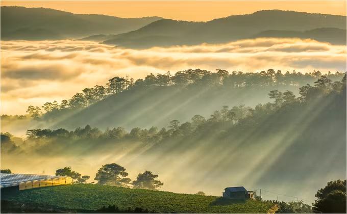 Đà Lạt còn có một ngọn đồi lãng mạn nhưng ít du khách ghé thăm, là đồi Túy Sơn (xã Xuân Thọ).