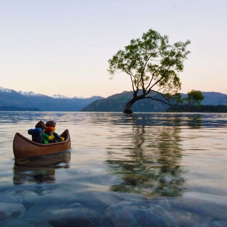  Ngắm hoàng hôn bên cây cô đơn nổi tiếng ở Wanaka.