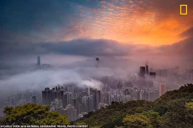 Các tòa nhà chọc trời ở Hong Kong bao phủ trong đám mây mù vào buổi sáng sớm. Đây là tác phẩm của nhiếp ảnh gia Carlo Yuen.