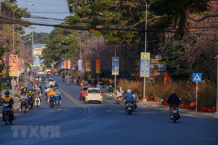 Trên đường Trần Hưng Đạo, Hùng Vương (Phường 10), hoa lan (địa lan, hồ điệp, lan rừng) là thế mạnh thị trường hoa Lâm Đồng được bày bán nhiều nhất. (Ảnh: Đặng Tuấn/TTXVN)