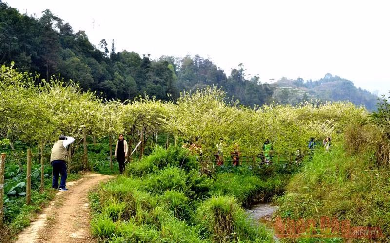 Thu hút du khách đến tham quan, trải nghiệm trong những ngày đầu xuân mới.