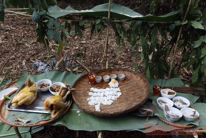 Lễ vật đơn sơ nhưng đậm tính linh thiêng của người Pu Péo dâng lên thần rừng. (Ảnh: Ngọc Thành).