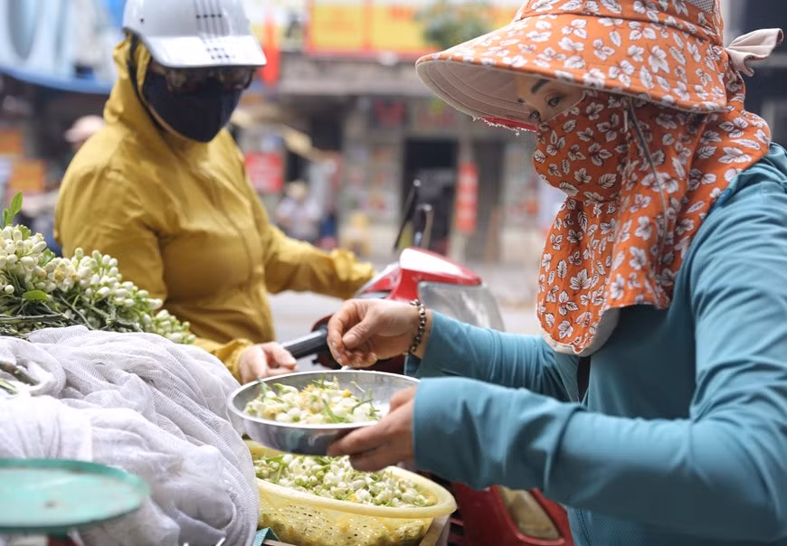 Người dân chọn mua hoa bưởi trên phố Lò Đúc (ảnh chụp ngày 22/2/2021). (Ảnh: Hoàng Hiếu/TTXVN) Người dân chọn mua hoa bưởi trên phố Lò Đúc (ảnh chụp ngày 22/2/2021). (Ảnh: Hoàng Hiếu/TTXVN)