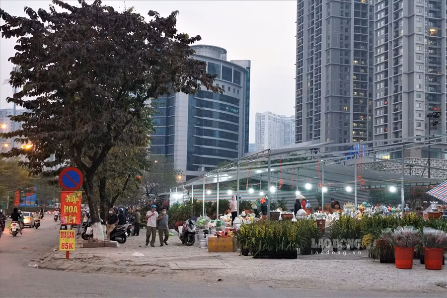  Khách xem hoa giảm hẳn so với mọi năm. Ảnh: Tạ Quang.