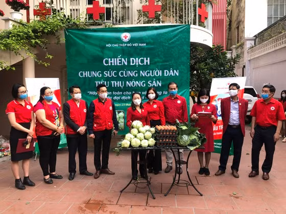 Hội Chữ thập đỏ Việt Nam phát động chiến dịch chung sức cùng người dân tiêu thụ nông sản