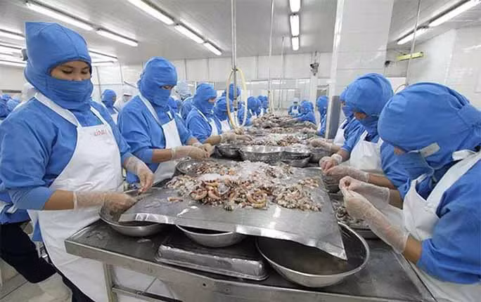 Dự báo xuất khẩu tôm năm 2021 sẽ tiếp tục đà tăng, đạt 4,4 tỉ USD, tăng 15% so với năm 2020.