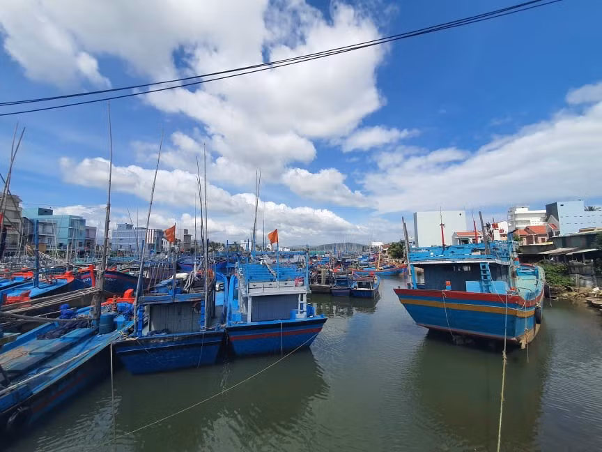 Tàu cá của ngư dân thị xã Hoài Nhơn (tỉnh Bình Định) đang đậu tại cảng. Ảnh: N.T Tàu cá của ngư dân thị xã Hoài Nhơn (tỉnh Bình Định) đang đậu tại cảng. Ảnh: N.T