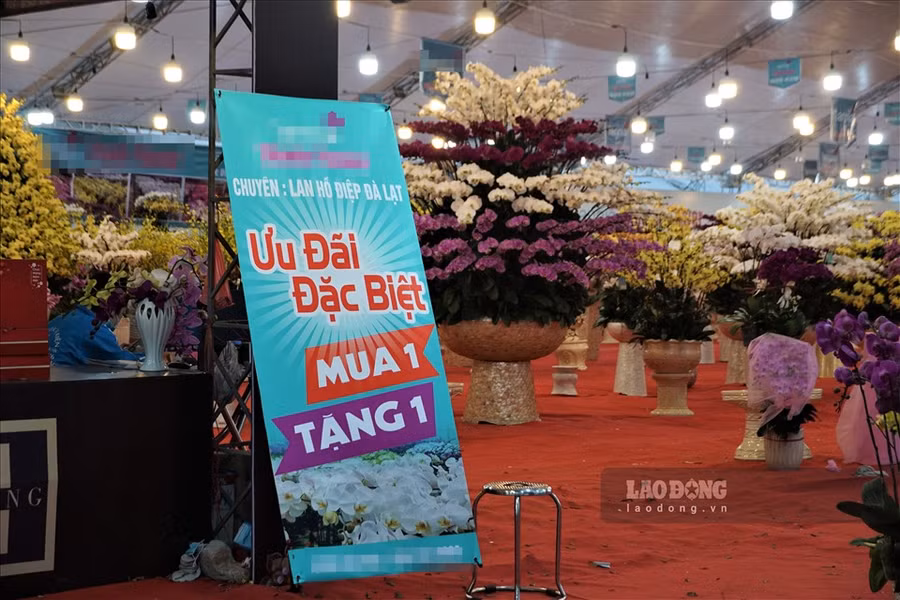 Lan hồ điệp là loài hoa luôn được người dân ưa chuộng mỗi dịp Tết, nhưng cũng chịu cảnh vắng người mua. Để hút khách, cửa hàng này thậm chí áp dụng ưu đãi mua 1 tặng 1. Ảnh: Tùng Giang.