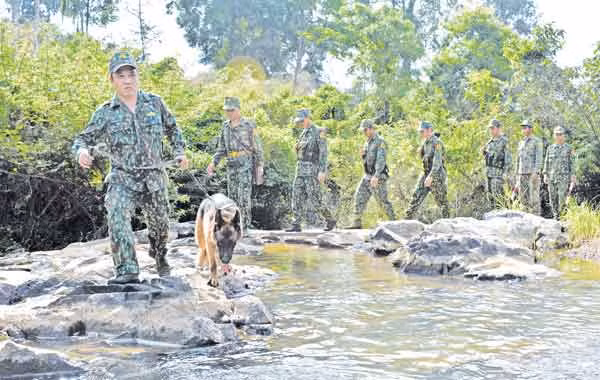 Cán bộ, chiến sĩ Đồn Biên phòng Cửa khẩu Quốc tế Lệ Thanh (huyện Đức Cơ) tuần tra bảo vệ biên giới. Ảnh: Duy Lê