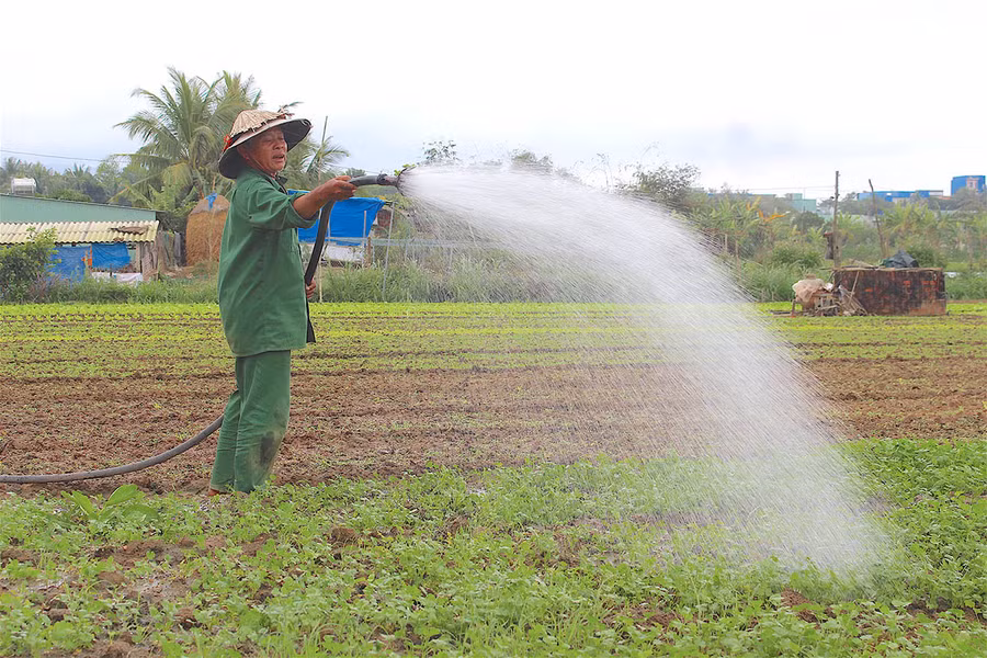 Người dân duy trì hoạt động sản xuất trong mùa dịch. Ảnh: Mộc Trà.