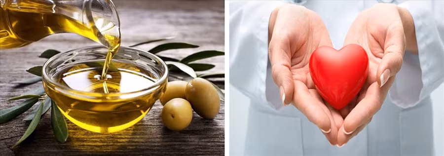 Dầu ô liu tốt cho tim mạch và giảm nguy cơ đột quỵ. Đồ họa: Hồng Nhật