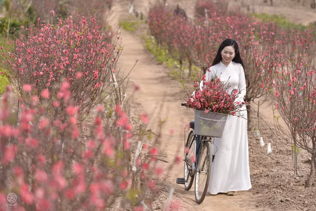  Và rồi, mùa xuân lại đến và các cô nàng lại mải miết khoe sắc bên đào xuân. 