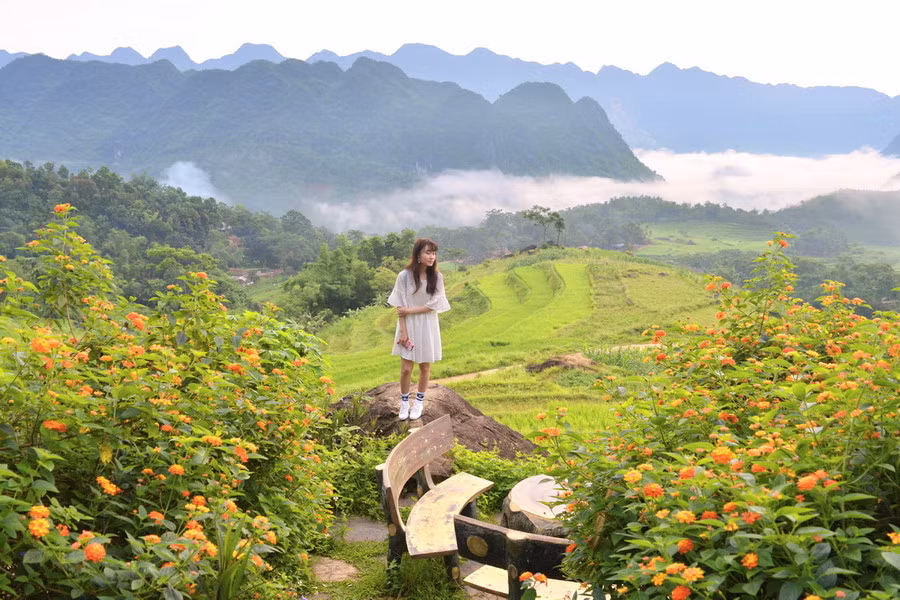 Cảnh núi non gắn kết với mây trời, thửa ruộng xanh xanh xen kẻ với mảng màu vàng rực rỡ, chiếc ghế ngồi cùng bàn tròn thơ mộng nằm cạnh bên khóm hoa tạo nên bức tranh phong cảnh hữu tình.