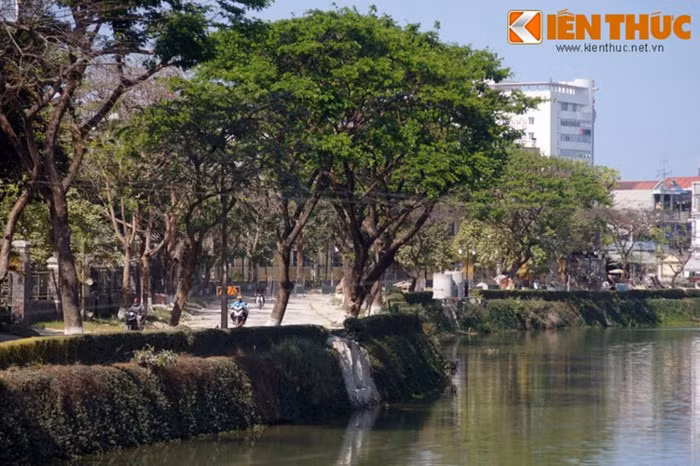 Còn những ngày tiết trời mát mẻ, thuồng luồng nằm im trong hang động, dòng sông không bị khuấy đảo, nước sông An Cựu trở nên trong vắt.
