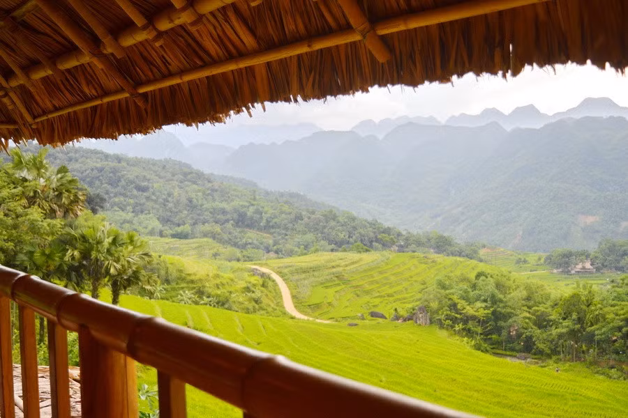 Hầu hết khu nghỉ dưỡng, homestay hay nhà của người dân nơi đây đều là nhà sàn và được xây cao trên triền núi, đồi cạnh sát bên các ruộng bậc thang nên có view gần gũi với thiên nhiên.