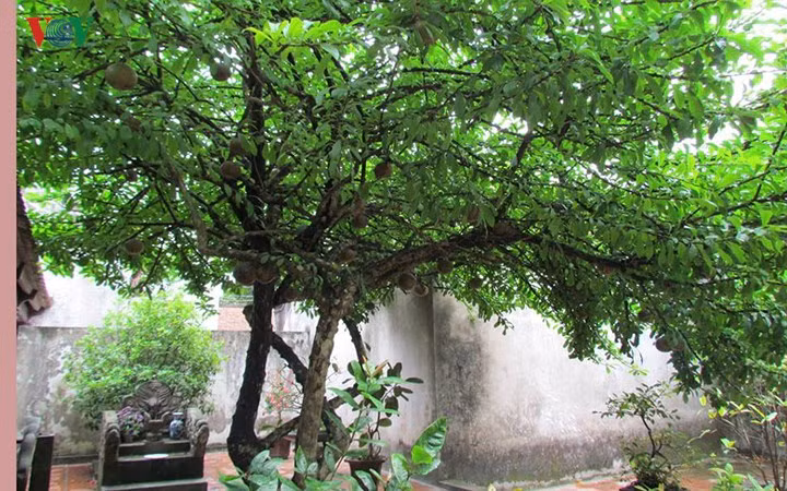 Ngày nay, khách đến thăm chùa ngày càng đông bởi đây là nơi thờ tự linh thiêng, phong cảnh hữu tình.