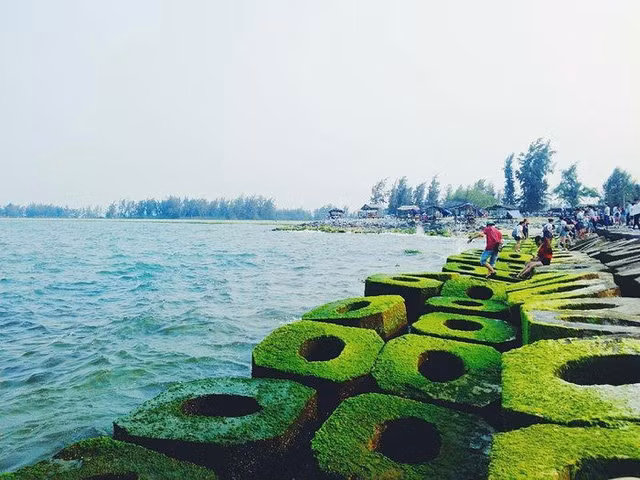 Tiếng sóng biển rì rào va vào những đập chắn biển Hải Dương.