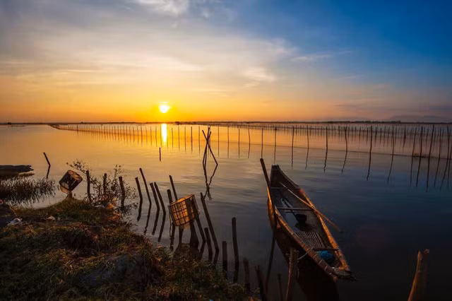  Phá Tam Giang có một vẻ đẹp rất hoang sơ nhưng vẫn rất thơ mộng làm say đắm lòng người. 