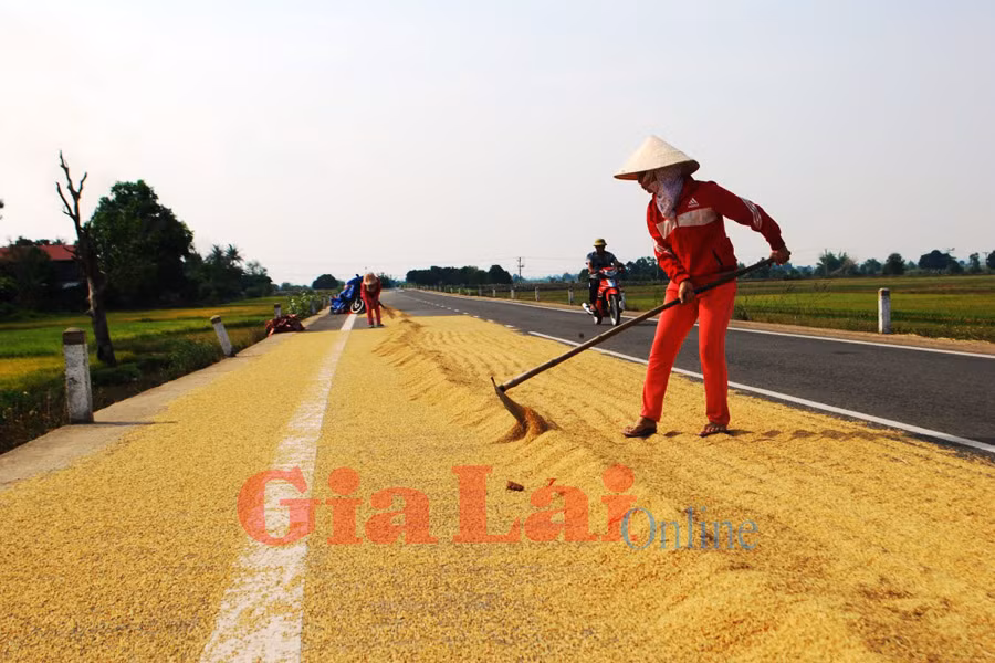 Ảnh: Nguyễn Tú