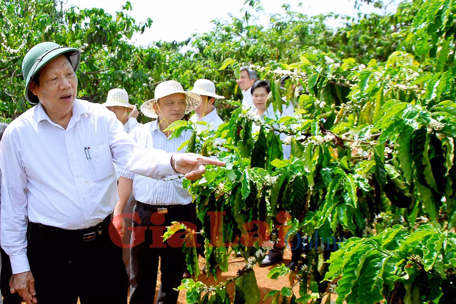  Ông Lê Huy Ngọ tham quan xã nông thôn mới Diên Phú. Ảnh: Đức Thụy