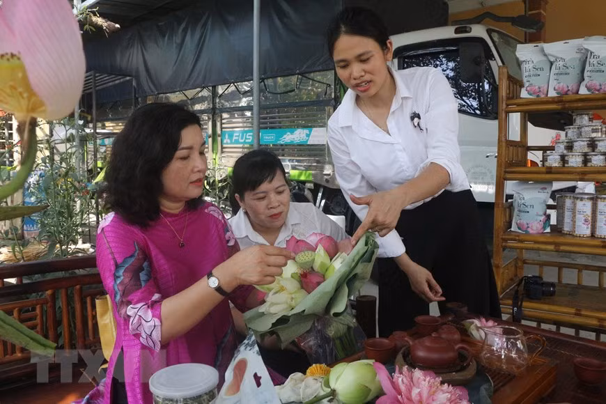 Huyện Nam Đàn sẽ nghiên cứu lựa chọn sản phẩm chiến lược từ sen để đầu tư phát triển kết hợp với du lịch sinh thái để tên gọi Làng Sen. (Ảnh: Bích Huệ/TTXVN)