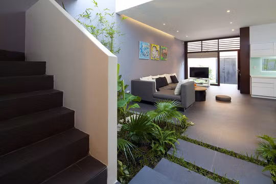 Sự kết nối thị giác 