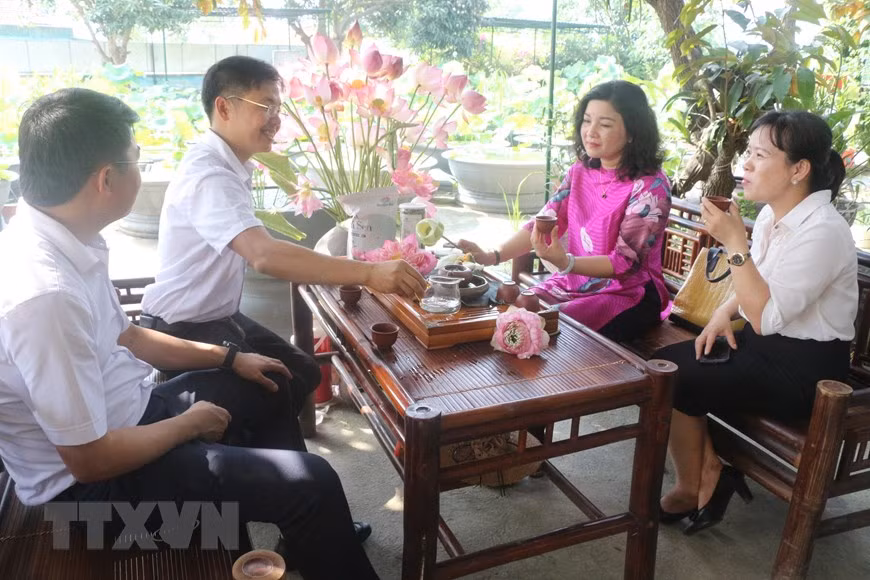 Huyện Nam Đàn sẽ nghiên cứu lựa chọn sản phẩm chiến lược từ sen để đầu tư phát triển kết hợp với du lịch sinh thái để tên gọi Làng Sen. (Ảnh: Bích Huệ/TTXVN)