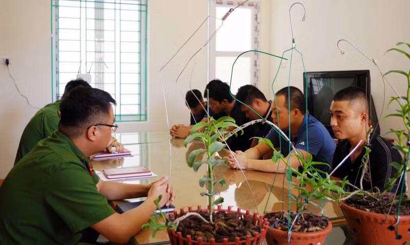 Ảnh minh họa: Internet
