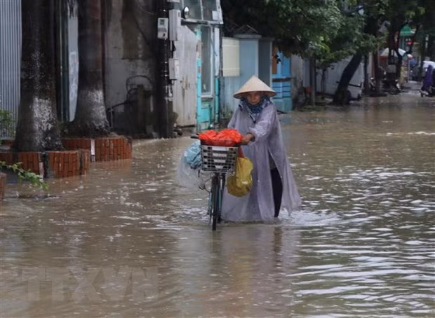 (Ảnh minh họa: Xuân Tiến/TTXVN)