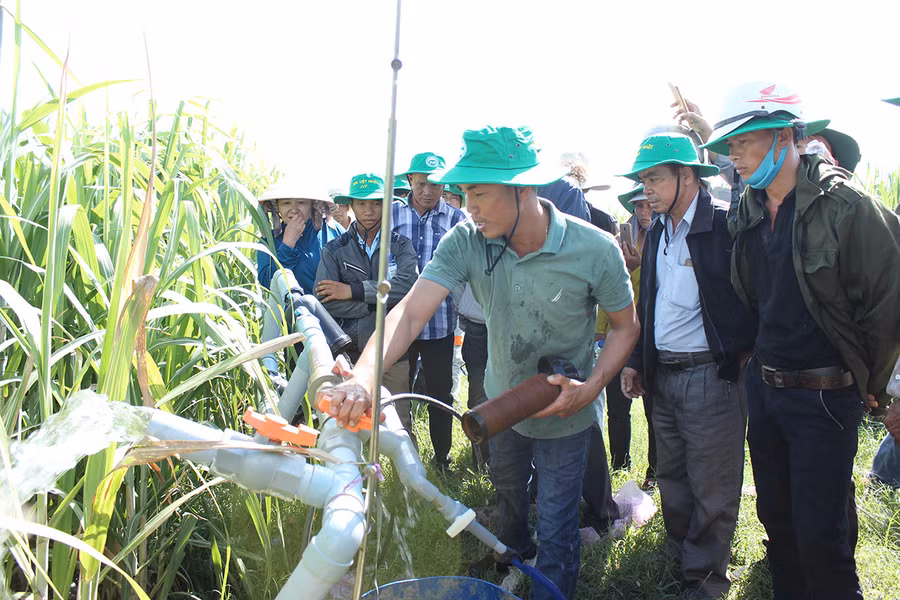  Nông dân tham quan mô hình tưới tiết kiệm nước tại ruộng mía của ông Phạm Tài Vụ (xã Ia Sol, huyện Phú Thiện). Ảnh: N.D