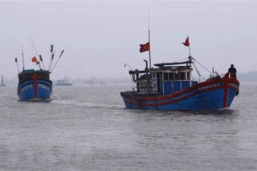  Tàu thuyền của ngư dân Việt Nam. Ảnh: TTXVN.