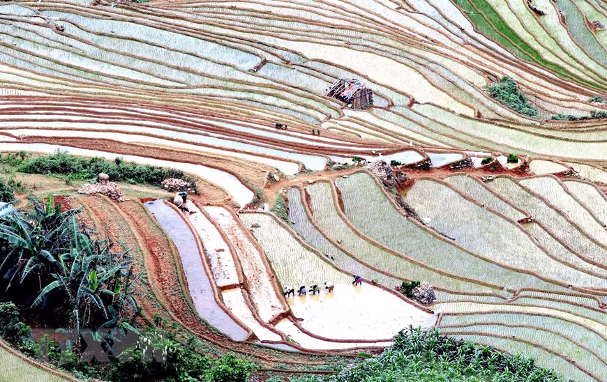 Mỗi khi có nước về, đồng bào dân tộc Mông, Thái tại xã Chiềng Muôn, huyện Mường La, tỉnh Sơn La tranh thủ làm đất để gieo cấy lúa. (Ảnh: Quang Quyết/TTXVN) Mỗi khi có nước về, đồng bào dân tộc Mông, Thái tại xã Chiềng Muôn, huyện Mường La, tỉnh Sơn La tranh thủ làm đất để gieo cấy lúa. (Ảnh: Quang Quyết/TTXVN)