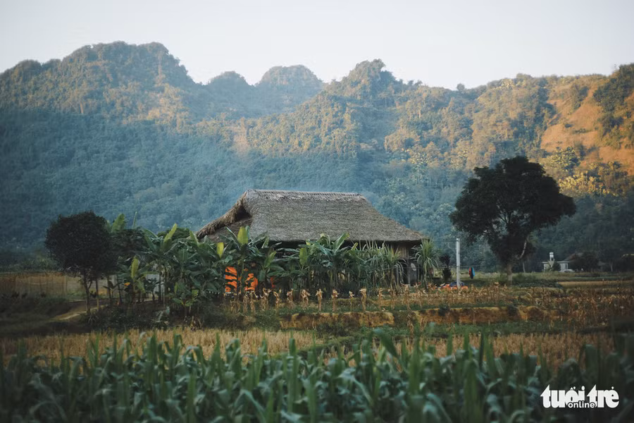 Bản Tông Pắng, xã Lâm Thượng (Lục Yên, Yên Bái) thanh bình và yên ả với màu xanh của núi rừng, của cánh đồng và bầu trời cao rộng - Ảnh: MAI THƯƠNG