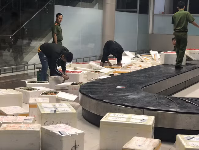 Những thùng dâu được thu giữ tại Cảng hàng không Liên Khương.